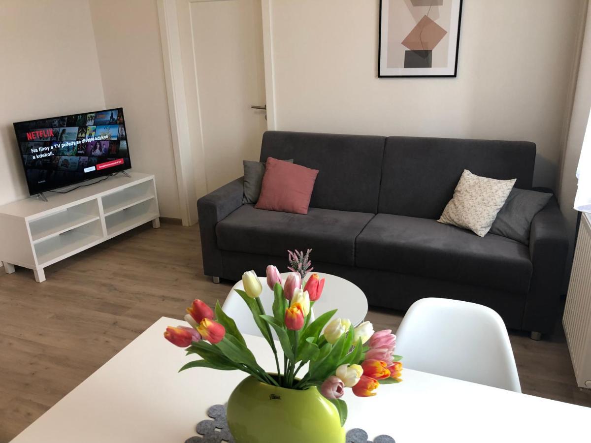 Rezidence Weisovka Apartamento Ceske Budejovice Exterior foto